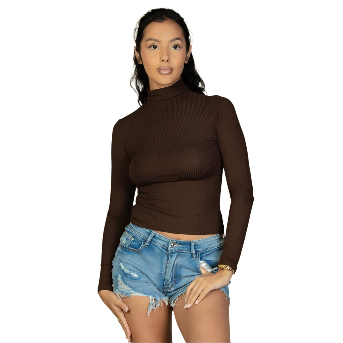 Ribbed Turtleneck Long Sleeve Top