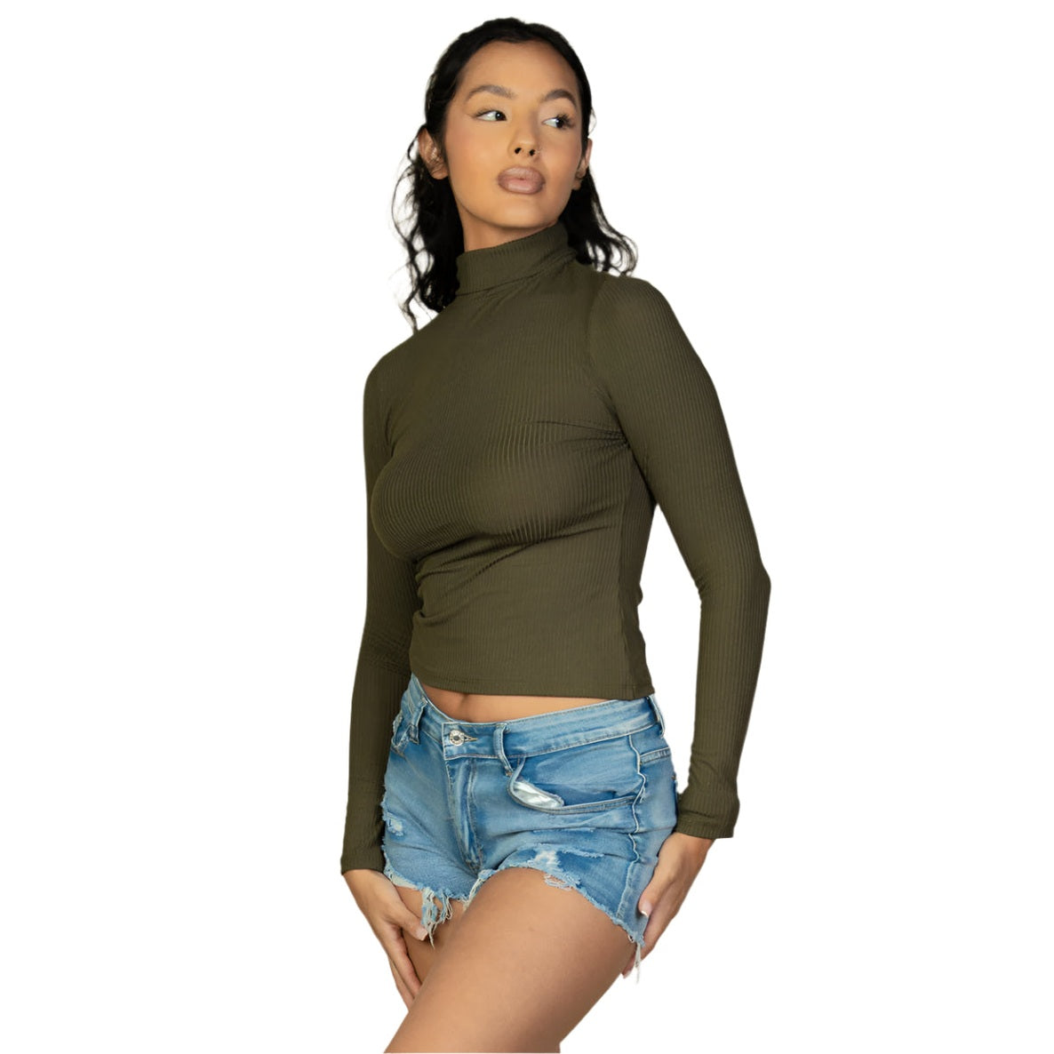 Ribbed Turtleneck Long Sleeve Top
