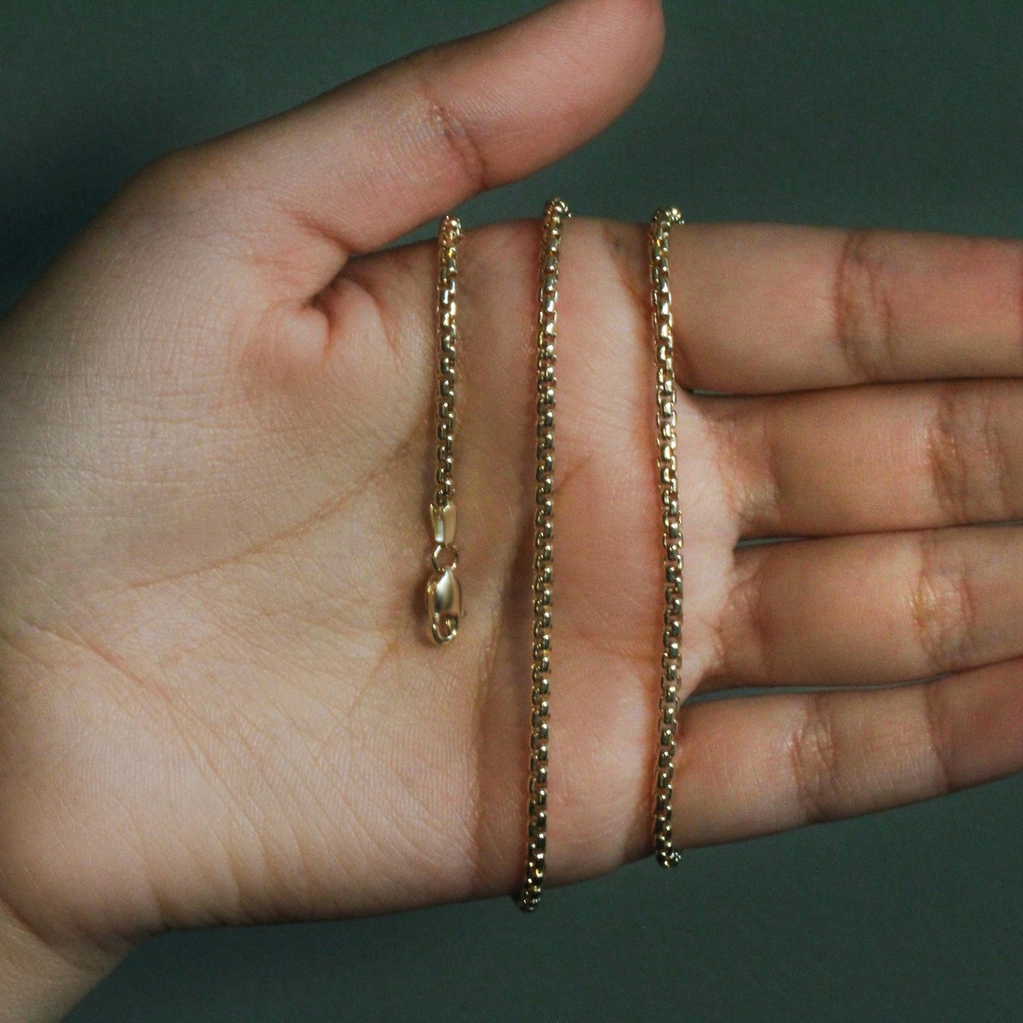 14k Yellow Gold Solid Round Box Chain (2.5 mm)